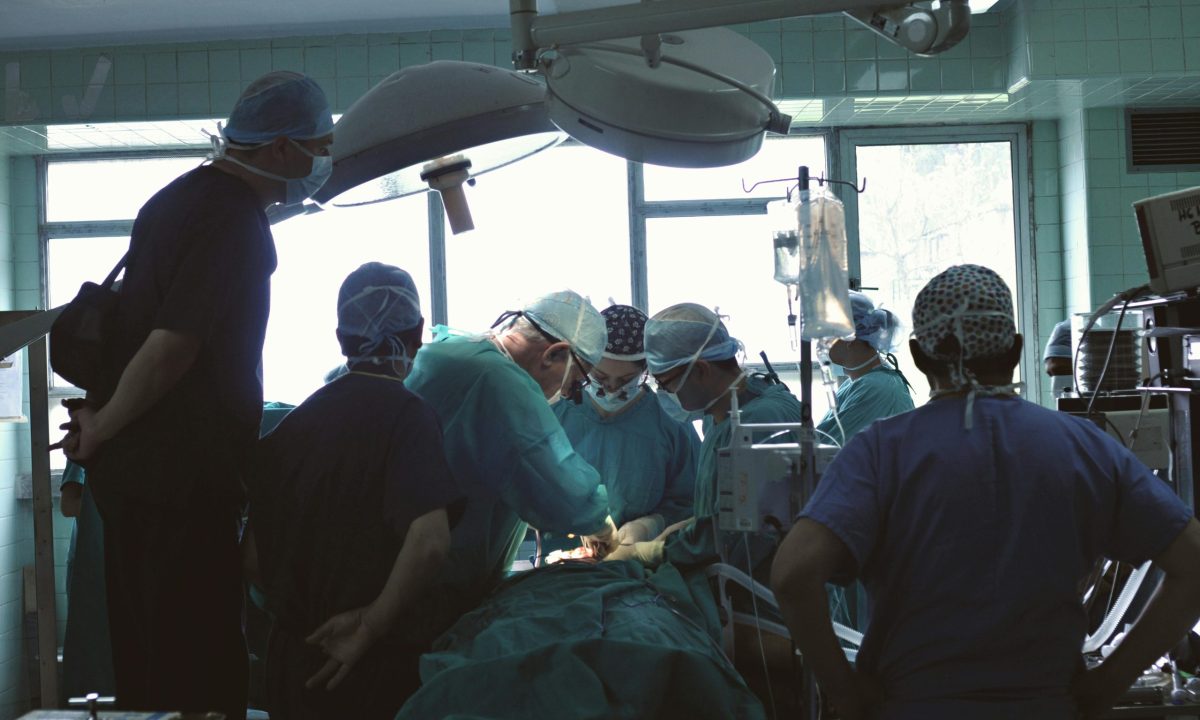 pexels-davegarcia-33904813